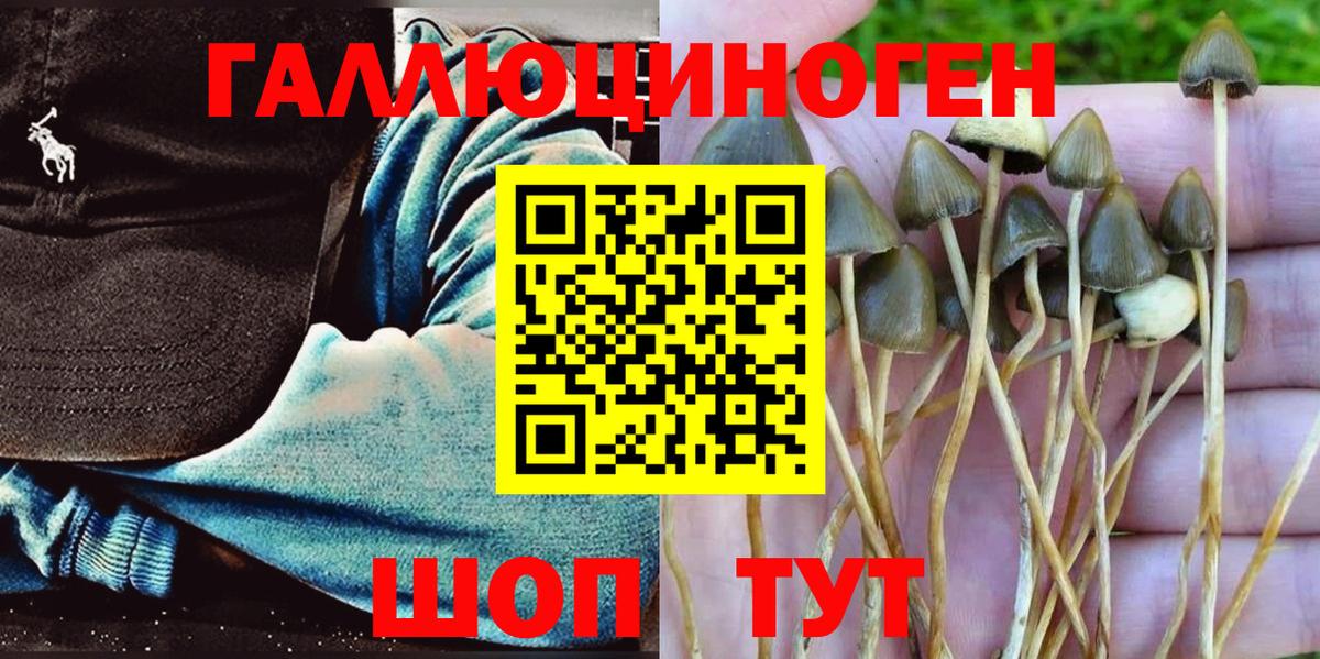 Изобильный  Галлюциногенные грибы GOLDEN TEACHER  Галлюциногенные грибы ЛСД  Вход с VPN 