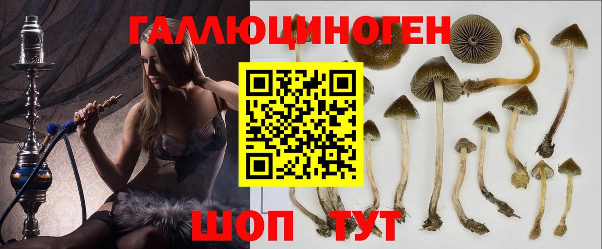Галлюциногенные грибы GOLDEN TEACHER Изобильный